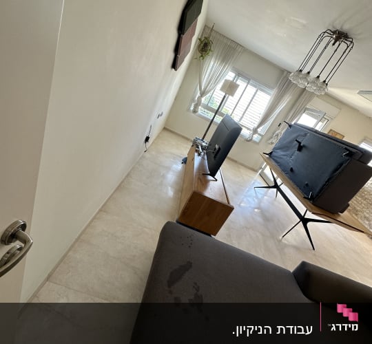 כתם על ספה בחדר מגורים עם טלוויזיה